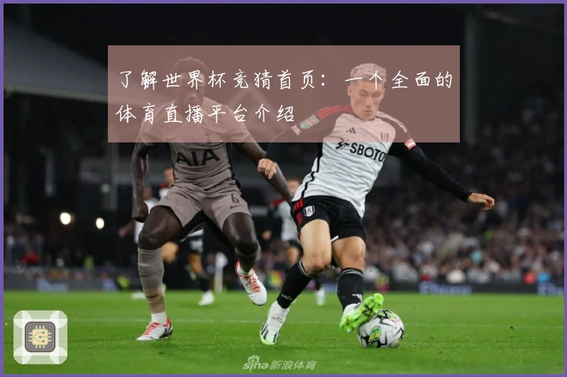 了解世界杯竞猜首页：一个全面的体育直播平台介绍