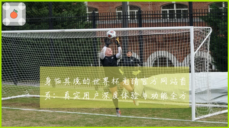 身临其境的世界杯竞猜官方网站首页：真实用户深度体验与功能全方位解读