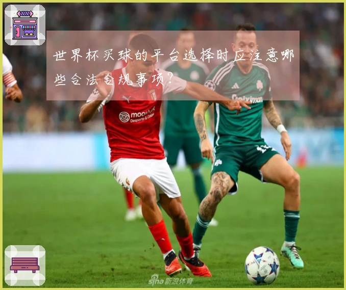 世界杯买球的平台选择时应注意哪些合法合规事项？
