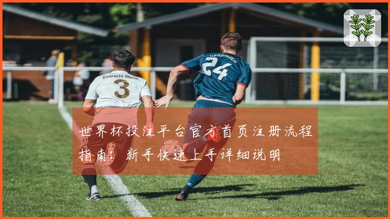 世界杯投注平台官方首页注册流程指南：新手快速上手详细说明