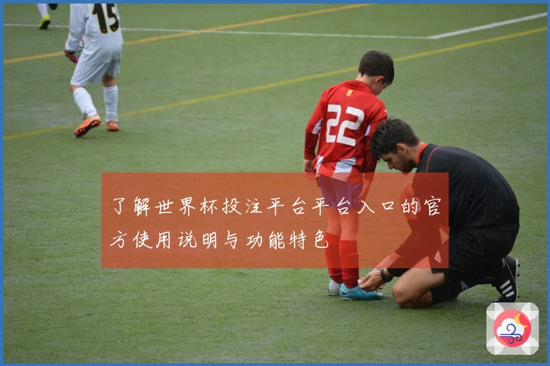 了解世界杯投注平台平台入口的官方使用说明与功能特色