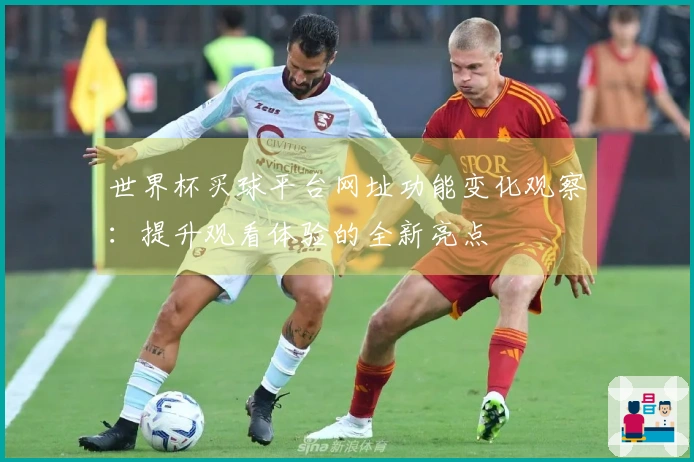 世界杯买球平台网址功能变化观察：提升观看体验的全新亮点