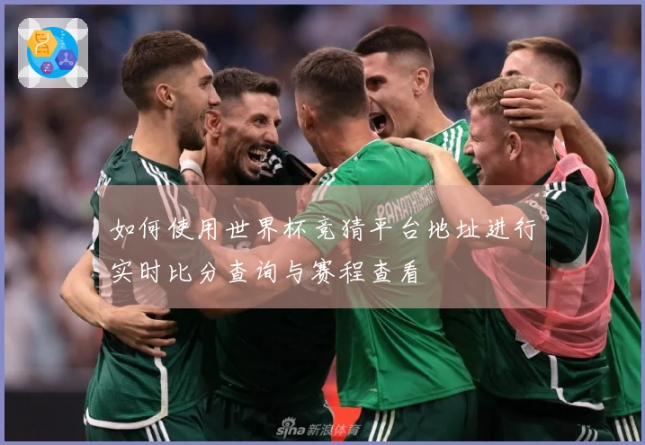 如何使用世界杯竞猜平台地址进行实时比分查询与赛程查看