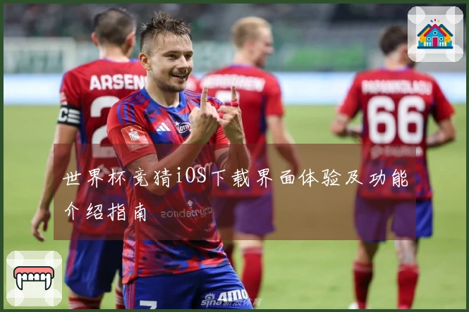 世界杯竞猜iOS下载界面体验及功能介绍指南