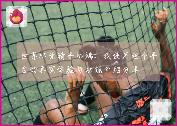世界杯竞猜手机端：我使用这个平台的真实体验与功能介绍分享