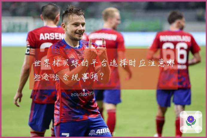 世界杯买球的平台选择时应注意哪些合法合规事项？