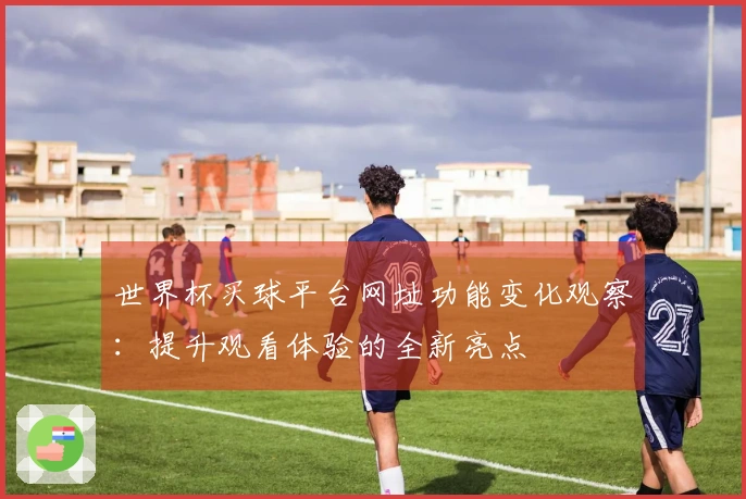 世界杯买球平台网址功能变化观察：提升观看体验的全新亮点