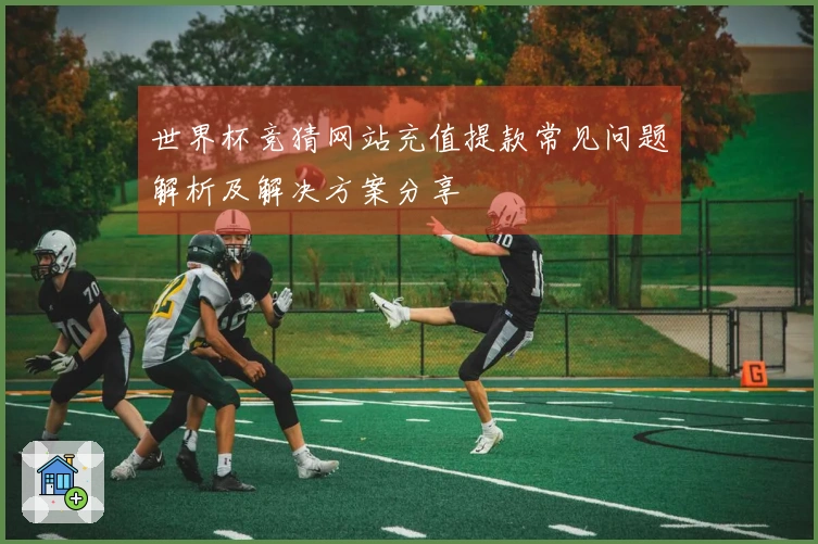 世界杯竞猜网站充值提款常见问题解析及解决方案分享